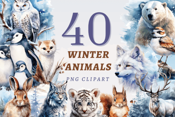 Download Winter Animals PNG Bundle - Premium Resources